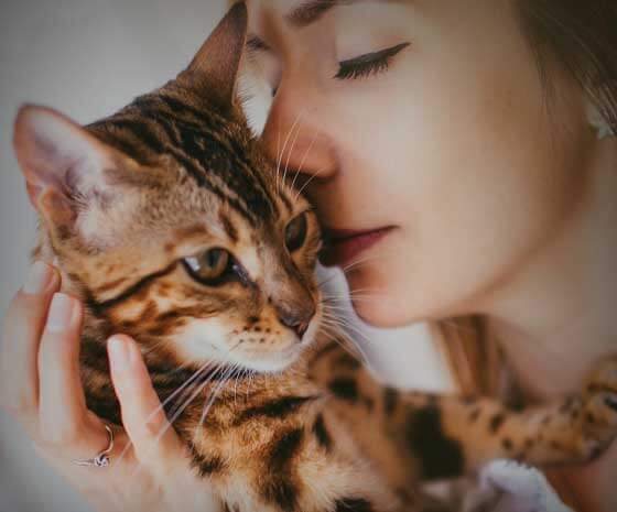Comunicação Intuitiva em Animais